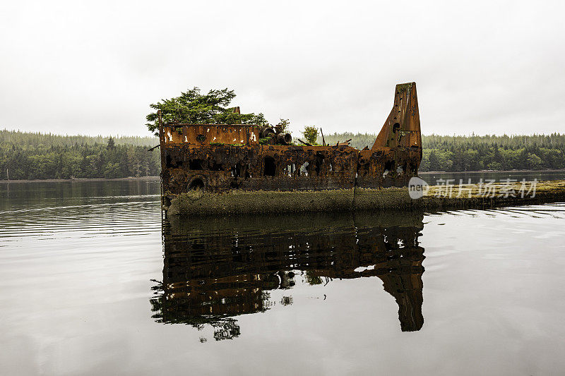 加拿大不列颠哥伦比亚省Haida Gwaii(夏洛特女王群岛)，格雷厄姆岛北岸纳登港Colnett Point岸边的一艘生锈废弃的原木驳船。